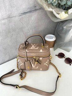 Louis Vuitton Vanity PM Bag Grey/Boise de Rose [кришка дно коробка] pr7002 фото