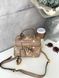 Louis Vuitton Vanity PM Bag Grey/Boise de Rose [кришка дно коробка] pr7002 фото 1
