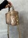 Louis Vuitton Vanity PM Bag Grey/Boise de Rose [кришка дно коробка] pr7002 фото 9