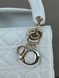 Mini Lady Dior Bag Latte Cannage Lambskin WHITE [магнітна бренд коробка] pr0074 фото 12