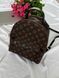 Louis Vuitton Рюкзак 8771 фото 9