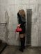 Miu MiuArcadie Leather Bag Red[Ориг Коробка] miu2059 фото 27