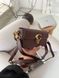 Coach Studio Baguette Brown [оригінальна коробка] pr2189 фото 15