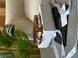 Celine Medium Triomphe Belt In Triomphe Canvas And Calfskin White 6612212 фото 3