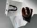 Celine Medium Triomphe Belt In Triomphe Canvas And Calfskin White 6612212 фото 11