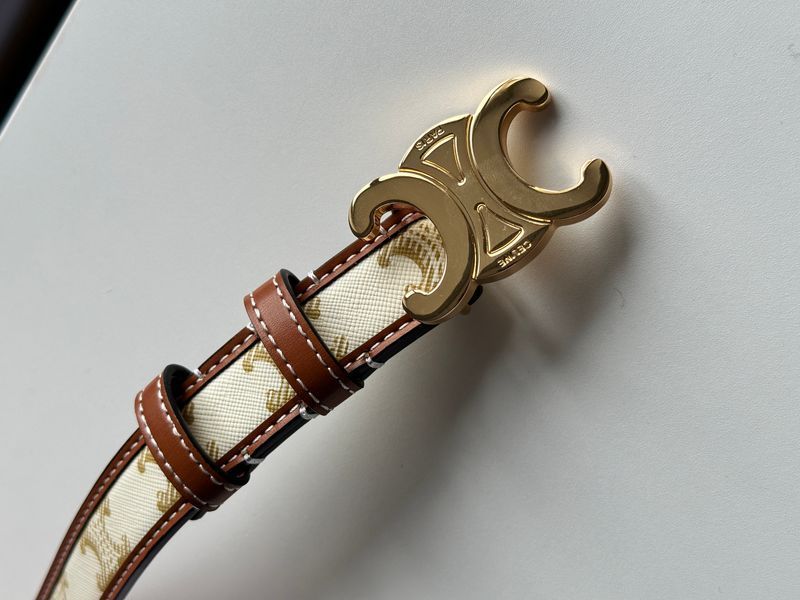 Celine Medium Triomphe Belt In Triomphe Canvas And Calfskin White 6612212 фото