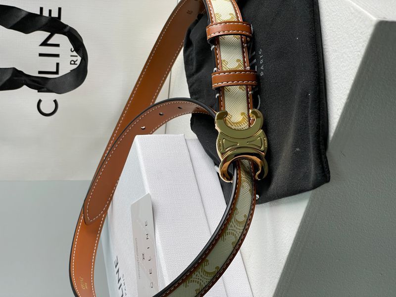 Celine Medium Triomphe Belt In Triomphe Canvas And Calfskin White 6612212 фото