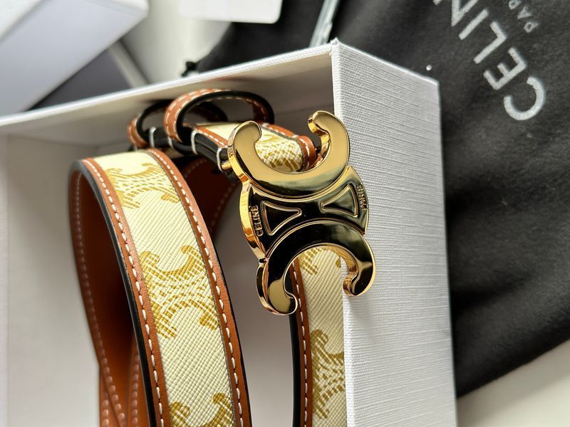 Celine Medium Triomphe Belt In Triomphe Canvas And Calfskin White 6612212 фото