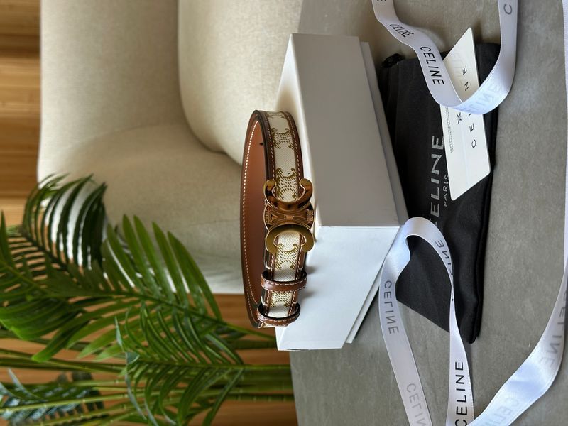 Celine Medium Triomphe Belt In Triomphe Canvas And Calfskin White 6612212 фото