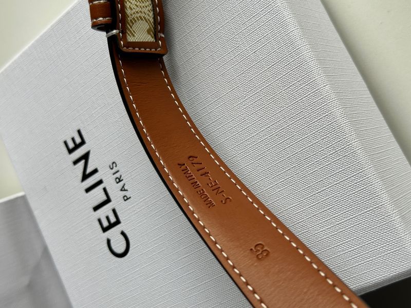 Celine Medium Triomphe Belt In Triomphe Canvas And Calfskin White 6612212 фото