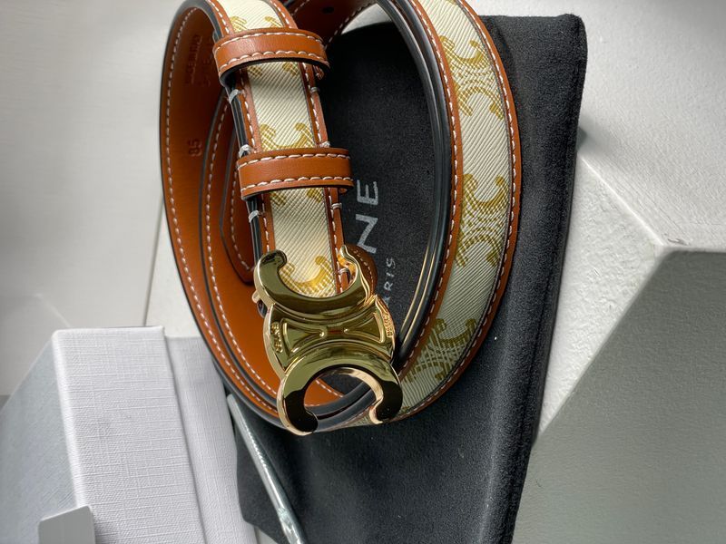 Celine Medium Triomphe Belt In Triomphe Canvas And Calfskin White 6612212 фото