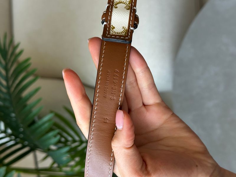Celine Medium Triomphe Belt In Triomphe Canvas And Calfskin White 6612212 фото
