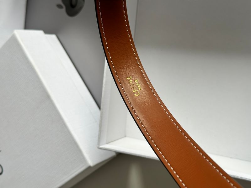 Celine Medium Triomphe Belt In Triomphe Canvas And Calfskin White 6612212 фото