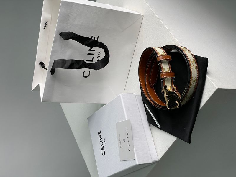 Celine Medium Triomphe Belt In Triomphe Canvas And Calfskin White 6612212 фото