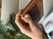 Michael Kors Wallet Brown/Ginger 881154 фото 22