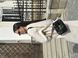 Pinko Love Bag Puff Butterfly Quilt White/Gold 99771 фото 9
