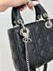 Mini Lady Dior Bag Black/Silver pr1988 фото 20