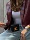 Celine Triomphe Mini Claude Shoulder Bag Black PREMIUM [оригінальна коробка] pr2291 фото 14