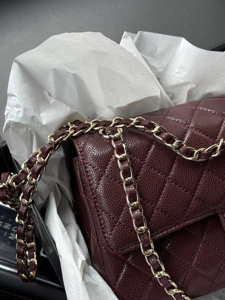 Chanel Classic 2.55 Medium Double Flap in Brown/Silver Магнітна Коробка pr2909 фото