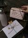 Chanel Classic Powder Lambskin Pearl Crush Vanity Bag Gold [оригінальна коробка] pr2081 фото 1