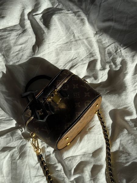 Louis Vuitton Vanity PM Bag Monogram Brown [магнітна коробка] pr00753 фото