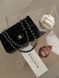 Chanel Classic 1.55 Small Single Flap in Black/Silver [Коробка магніт] pr002923 фото 8