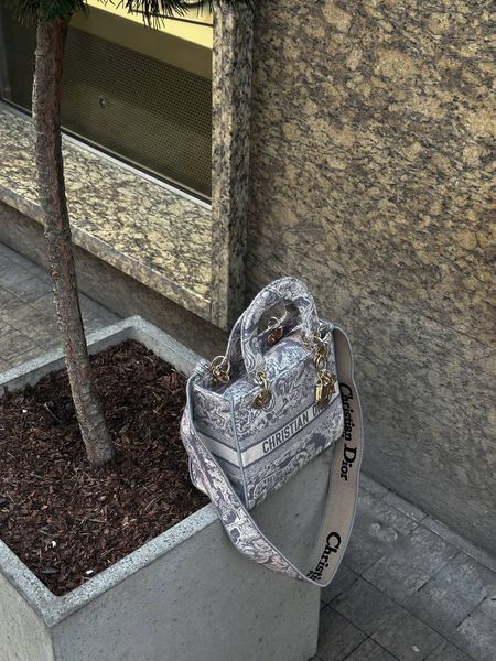 Christian Dior Medium Lady D-Lite Bag Light Grey [оригінальна коробка] pr01243 фото