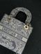 Christian Dior Medium Lady D-Lite Bag Light Grey [оригінальна коробка] pr01243 фото 5