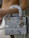 Christian Dior Medium Lady D-Lite Bag Light Grey [оригінальна коробка] pr01243 фото 10