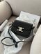Celine Teen Triomphe Bag Black in Shiny Calfskin PREMIUM [оригінальна коробка] pr02422 фото 3