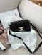 Celine Teen Triomphe Bag Black in Shiny Calfskin PREMIUM [оригінальна коробка] pr02422 фото 17