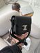 Celine Teen Triomphe Bag Black in Shiny Calfskin PREMIUM [оригінальна коробка] pr02422 фото 14