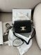 Celine Teen Triomphe Bag Black in Shiny Calfskin PREMIUM [оригінальна коробка] pr02422 фото 2
