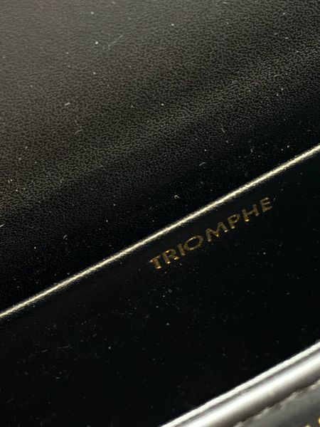 Celine Triomphe PREMIUM [оригінальна коробка] pr02419 фото