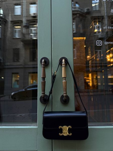 Celine Triomphe PREMIUM [оригінальна коробка] pr02419 фото