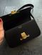 Celine Triomphe PREMIUM [оригінальна коробка] pr02419 фото 13