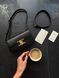 Celine Triomphe PREMIUM [оригінальна коробка] pr02419 фото 20