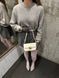 Celine Teen Triomphe Bag Cream in Shiny Calfskin PREMIUM [оригінальна коробка] pr02420 фото 19