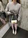 Celine Teen Triomphe Bag Cream in Shiny Calfskin PREMIUM [оригінальна коробка] pr02420 фото 13