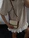 Celine Small Boston Cuir Triomphe in Textile and Calfskin PREMIUM [звичайна брендована коробка] pr0037 фото 27