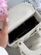 Christian Dior Small Lady Dior My ABCDIOR Bag Milk [оригінальна коробка] pr01269 фото 3