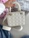 Coach Brook Flap Chain White\Gold [оригінальна коробка] pr0085 фото 12