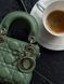 Dior Lady D-Joy Mikro Bag Green [оригінальна коробка] pr01253 фото 5