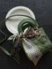 Dior Lady D-Joy Mikro Bag Green [оригінальна коробка] pr01253 фото 2