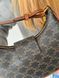 Celine Ava Triomphe Bag PREMIUM [оригінальна брендована коробка] pr00051 фото 3
