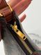 Celine Ava Triomphe Bag PREMIUM [оригінальна брендована коробка] pr00051 фото 2