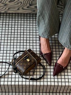 Louis Vuitton Vanity PM Bag Monogram Reverse Coated Canvas Calf [магнітна коробка] pr00759 фото