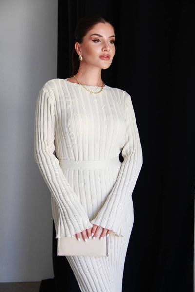 Елегантна сукня з трикотажної тканини 1030 фото