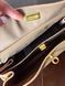 Balenciaga Rodeo Brown/Gold Medium B2120 фото 14