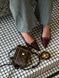 Louis Vuitton Vanity PM Bag Monogram Reverse Coated Canvas Calf [магнітна коробка] pr00759 фото 7